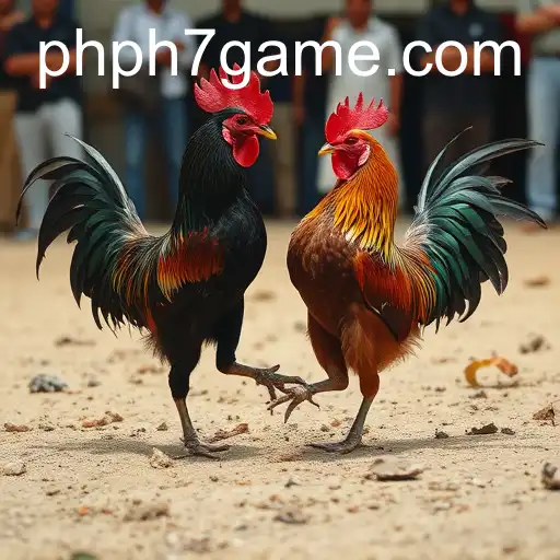 The Complex World of Cockfighting: Tradition and Controversy